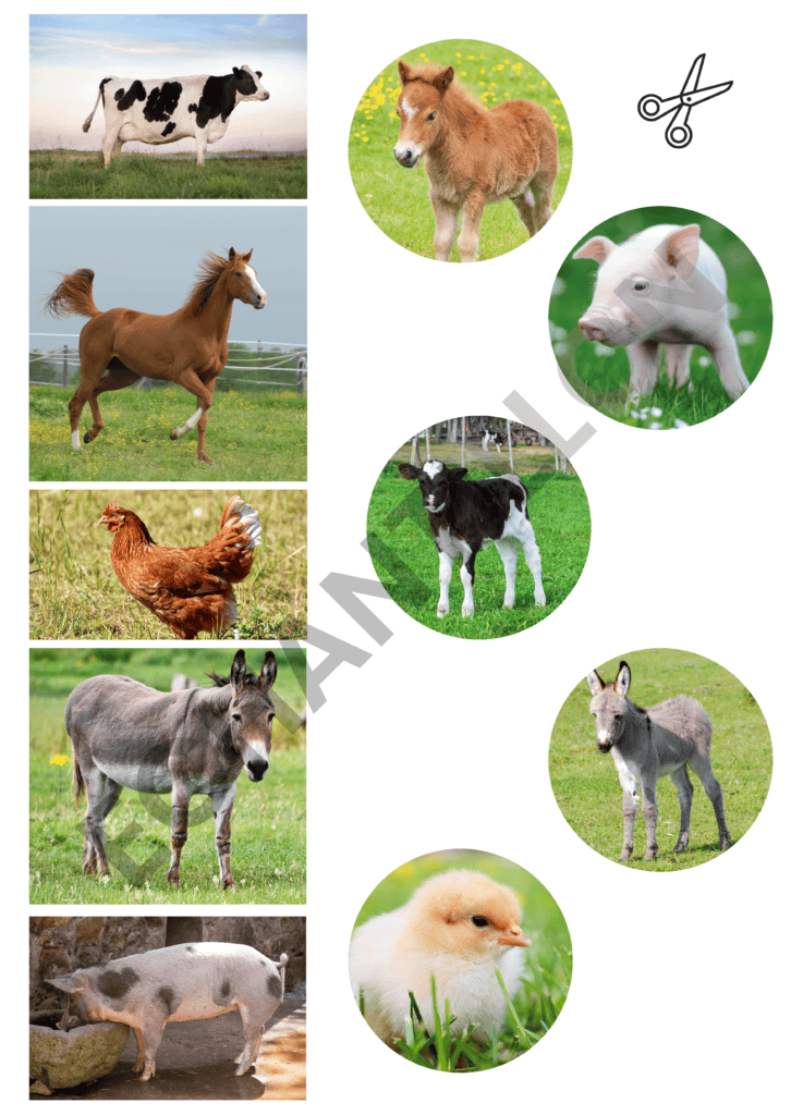 Les animaux de la ferme : Activités à imprimer | maternelle & crèche